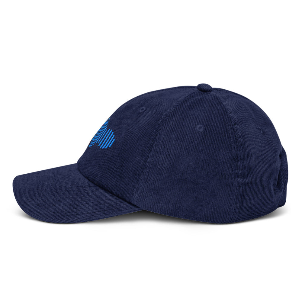 Fashionable hat for musicians